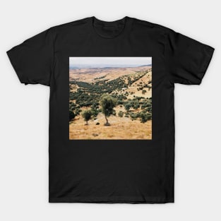 Olive Trees T-Shirt